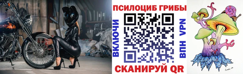 Галлюциногенные грибы GOLDEN TEACHER  Купить  Покровск 