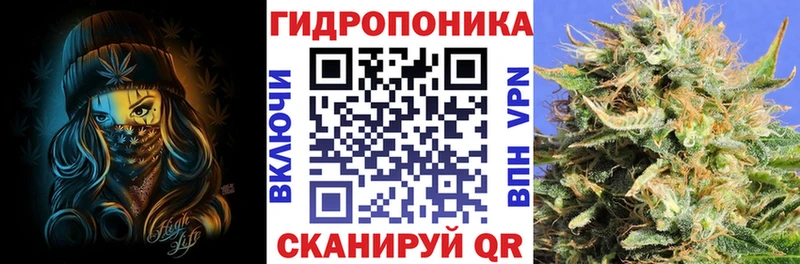 Канабис MAZAR  Купить где  Покровск 